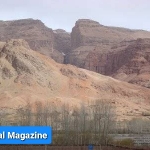افراد مسلح در بامیان گوسفندان یک چوپان را ربودند